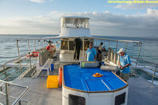 dive deck